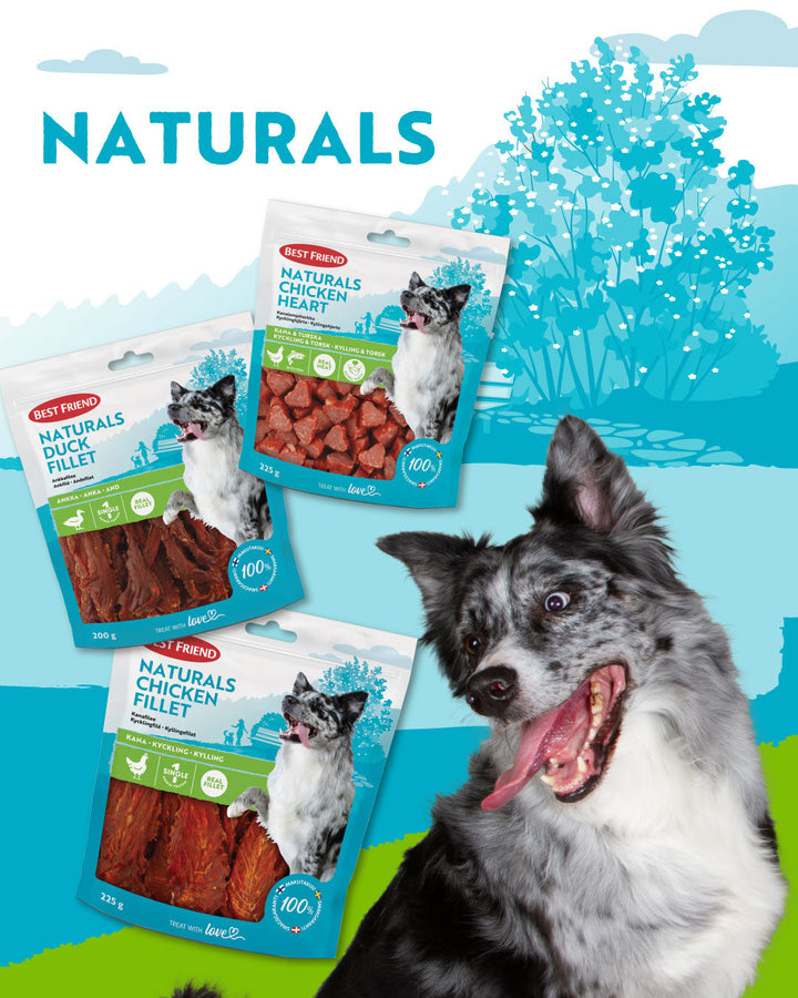 Best Friend Naturals Dog Treats - More Meat and More Quality!