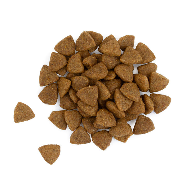 Best Friend Bilanx Senior kana kuivaruoka kissoille 700 g