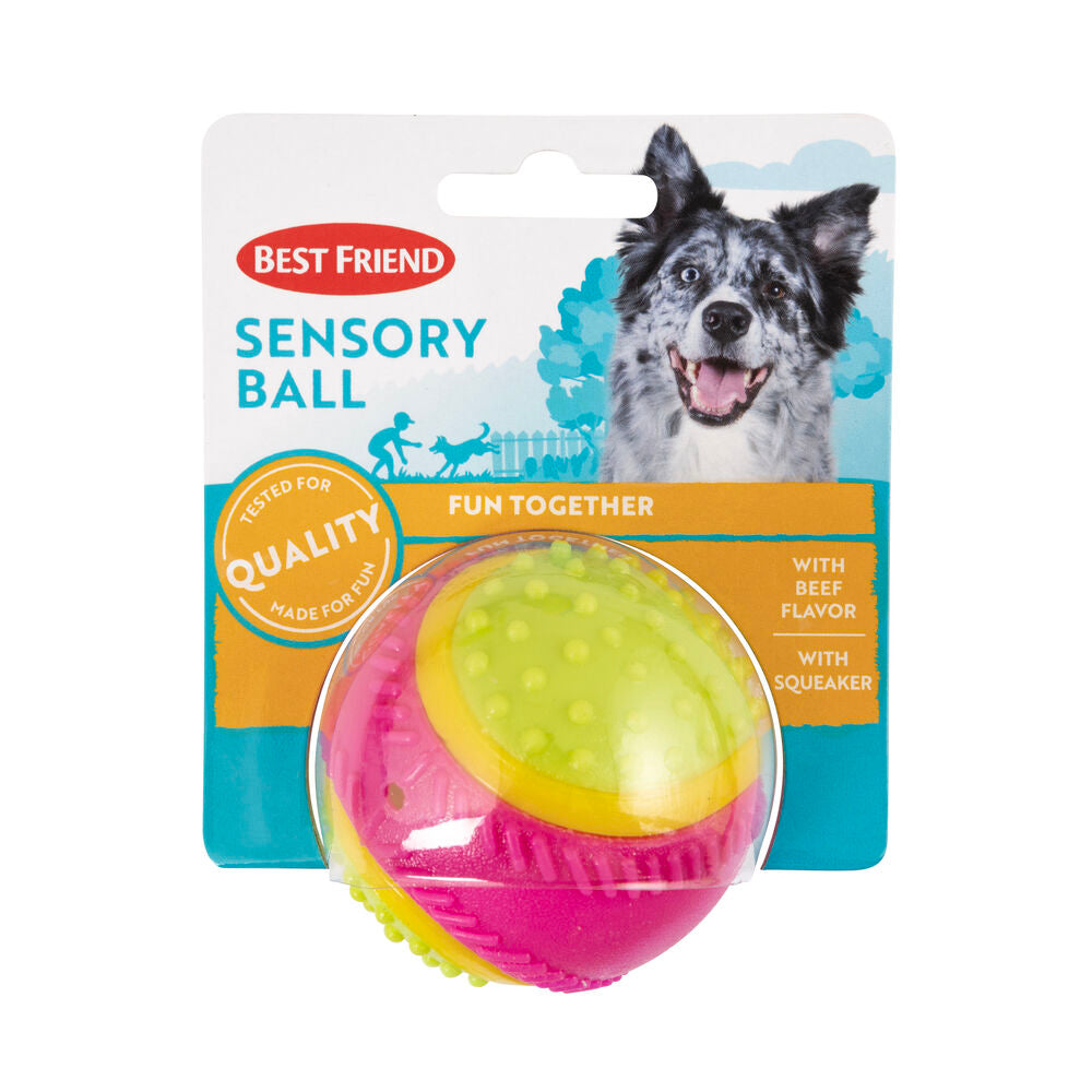 5 senses dog ball hotsell