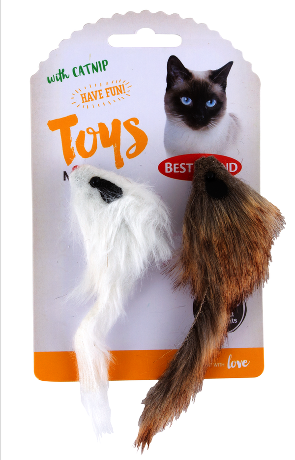 Best Friend Missy musleksak för katt