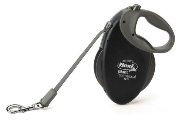 Flexi Giant Professional L 10m nauha