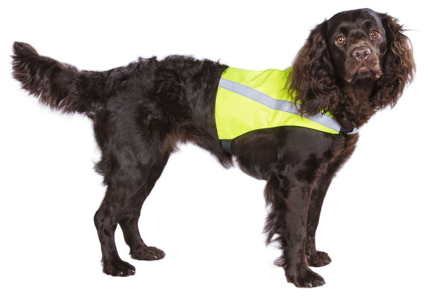Best Friend sikkerhedsvest till hunde