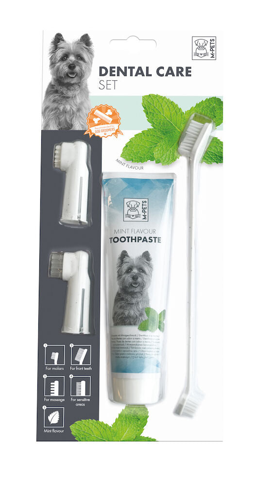 M-Pets Hammashoitosetti