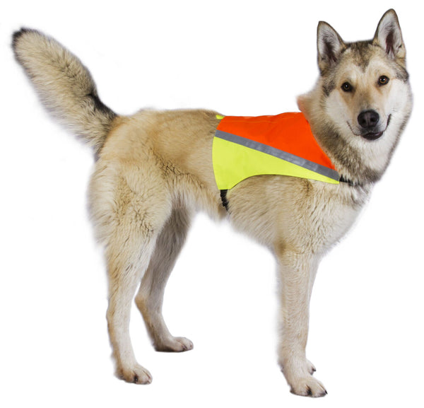 Best Friend sikkerhedsvest till hunde