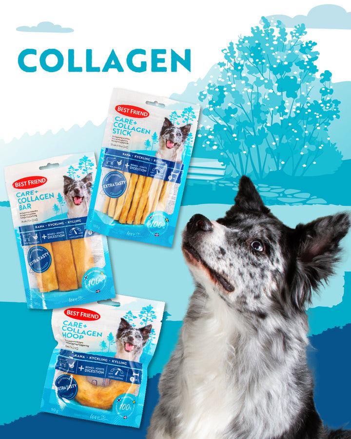 Best Friend Care+ Collagen Dog Chews - Pamper your dog with goodness!