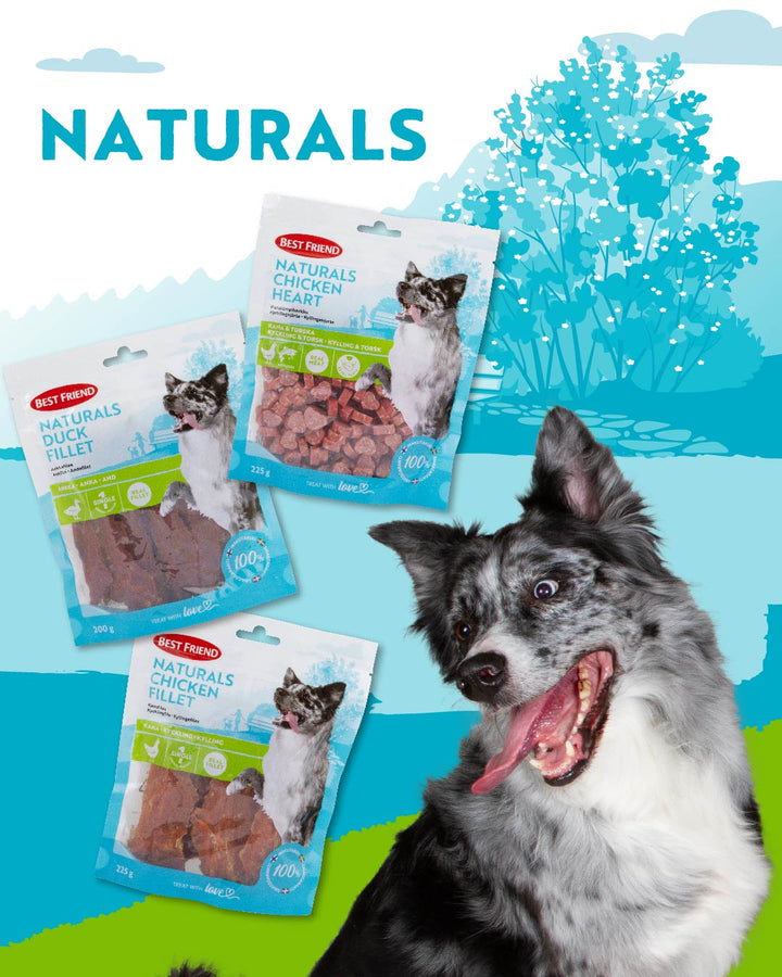 Best Friend Naturals Dog Treats - More Meat and More Quality!