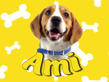 A smiling beagle dog wearing a blue collar, centered on a bright yellow background with white bone shapes and the name 'Ami' in large yellow text at the bottom.