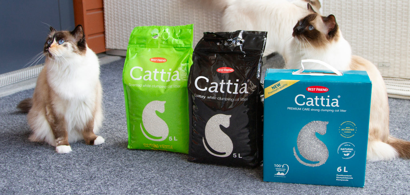 Djurskyddet Cattia Best Friend Djurskyddet Cattia Best Friend