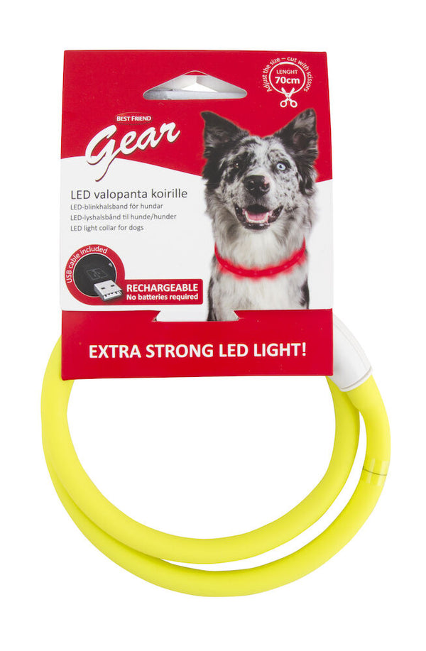 Best Friend  LED-blinkhalsband för hund