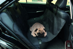 M-Pets STRETTO car backseat cover