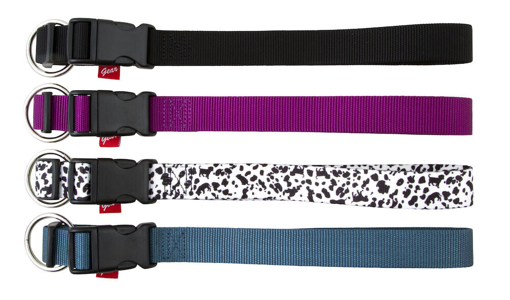 Best Friend Outdoor dog collar