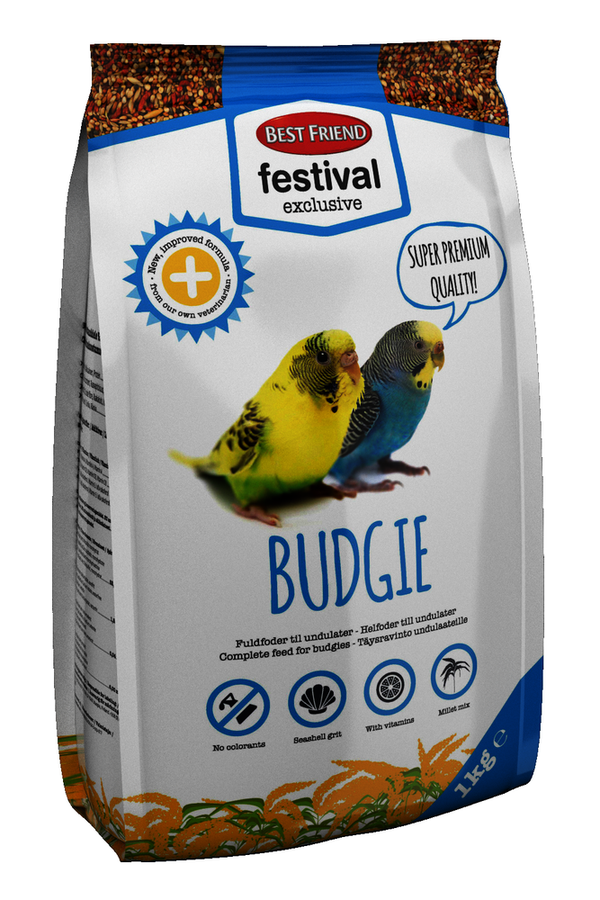 Best Friend Festival Exclusive Budgie