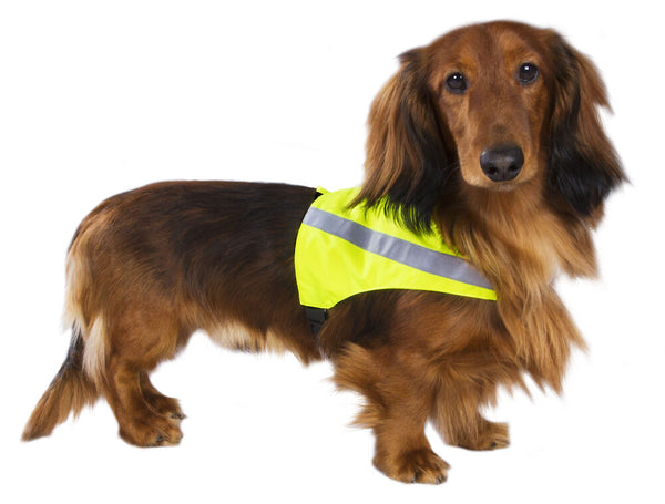 Best Friend dog high visibility vest