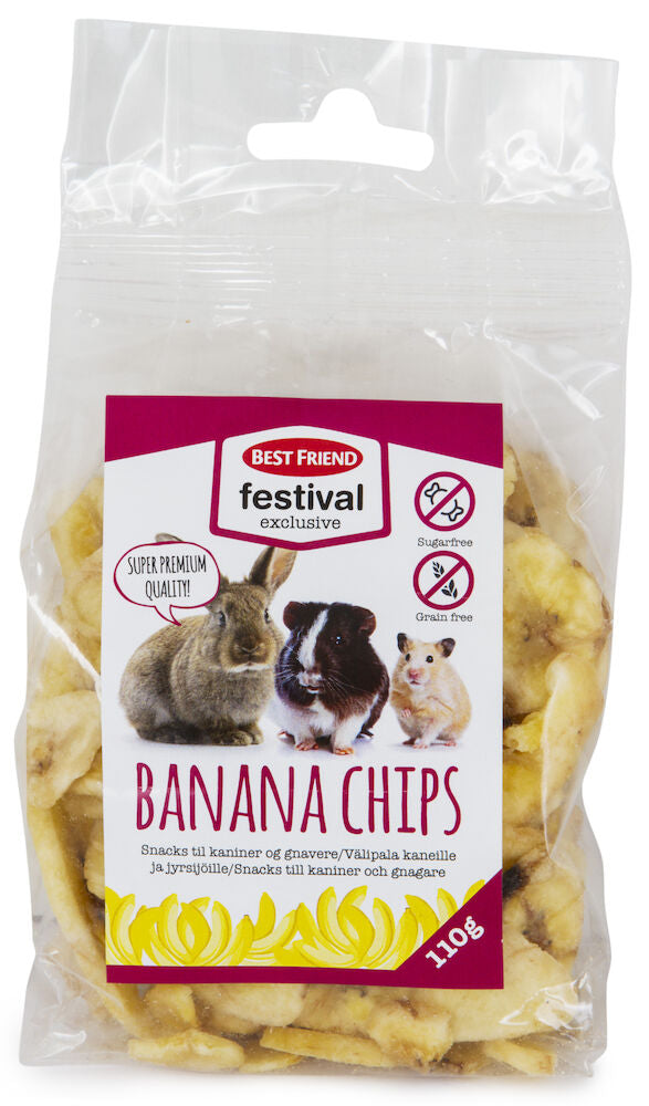 Best Friend Festival Exclusive Banana Chips