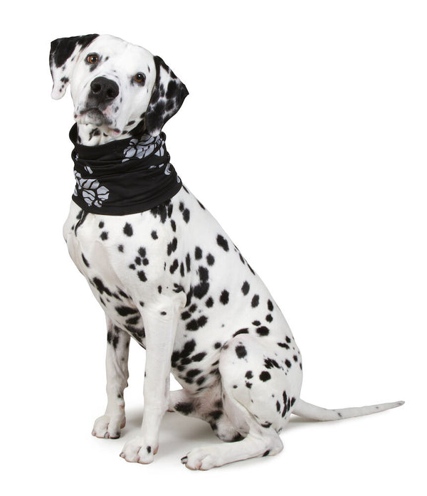 Best Friend Reflekterande tubscarf för hunden