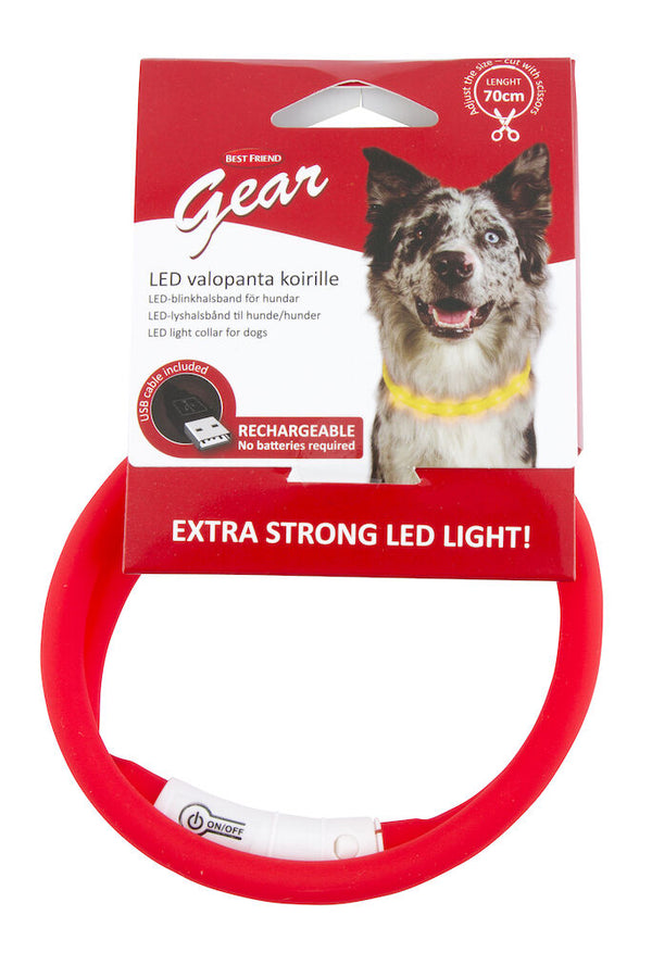 Best Friend LED-lyshalsbånd til hunde