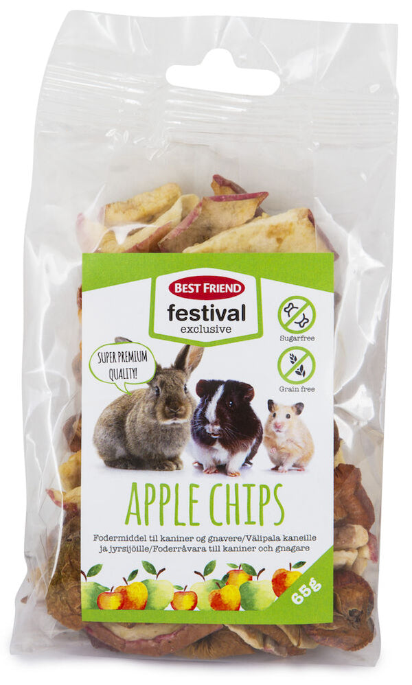 Best Friend Festival Apple chips  