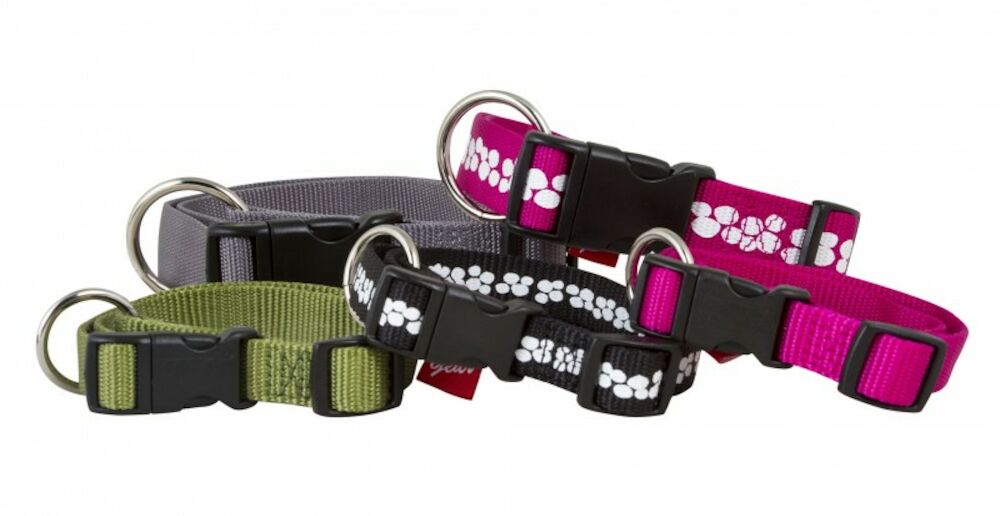 Best Friend Outdoor dog collar